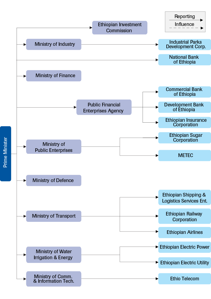 Organisational structure of the economic sector in early 2018