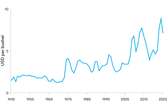 International grain prices (1945-2023)