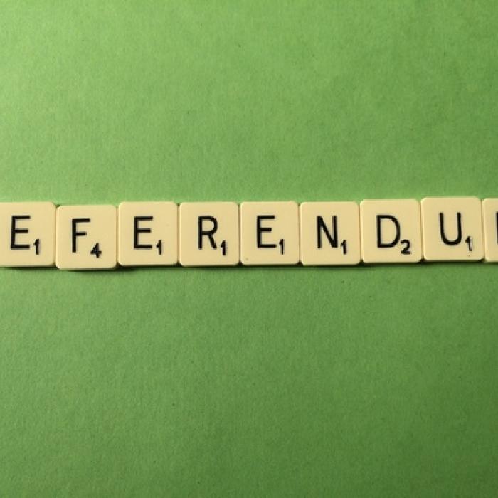 Waarom een Europees referendum wél werkt