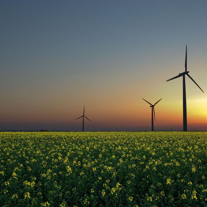 Achieving green growth: the political economy of energy security