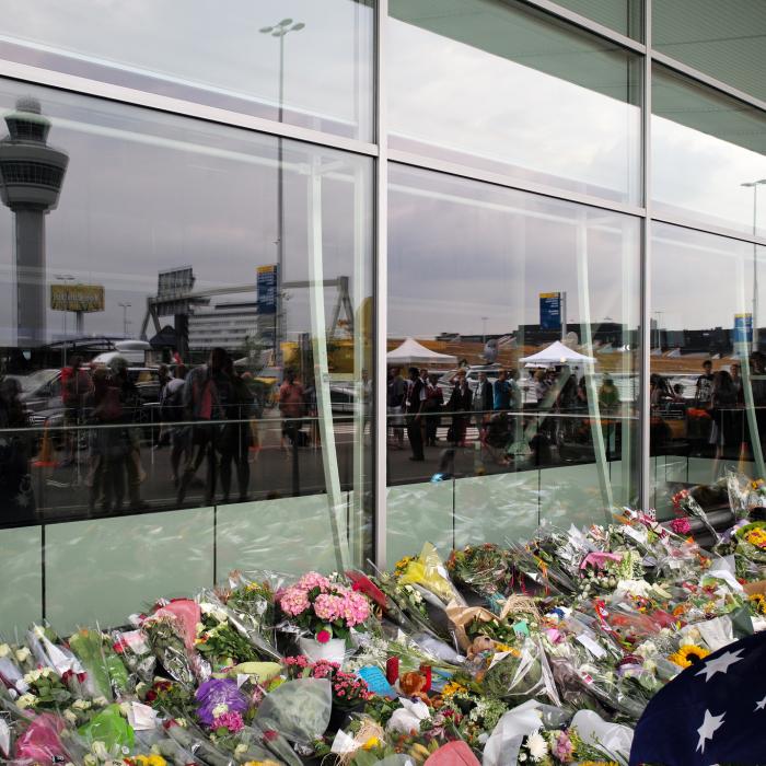 MH17 and the diplomacy of business going Dutch