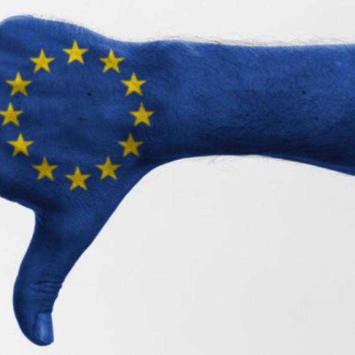 A strength for Europe: the value of Euroscepticism in current debates