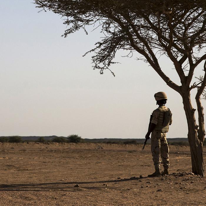 Clingendael presents overview of results Sahel Programme  