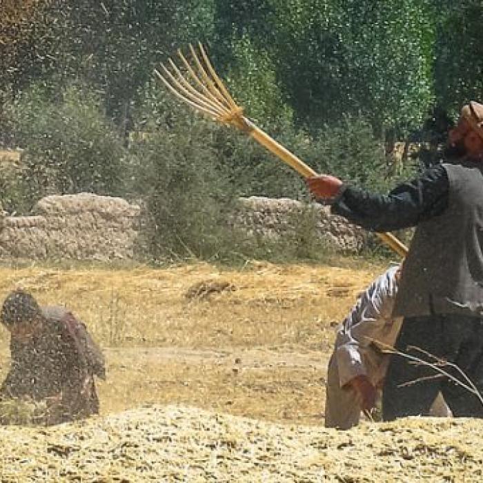 Afghanistan and its international partners