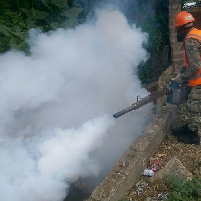 Zika: a challenge for both WHO and EU?