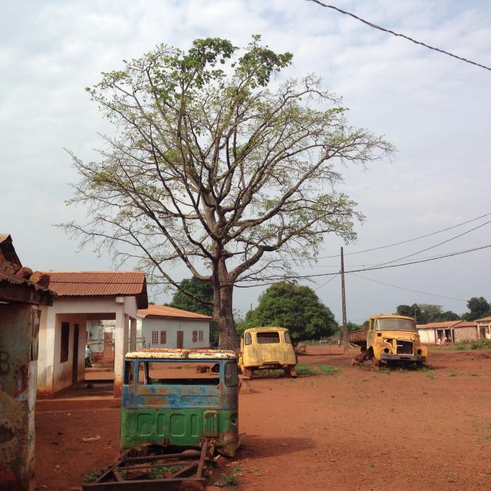 Speculating on Crisis: Disintegrating the Central African Republic