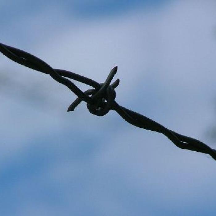 Prisons and terrorism: radicalisation and de-radicalisation in 15 countries