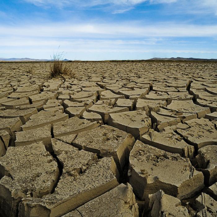 Klimaatverandering