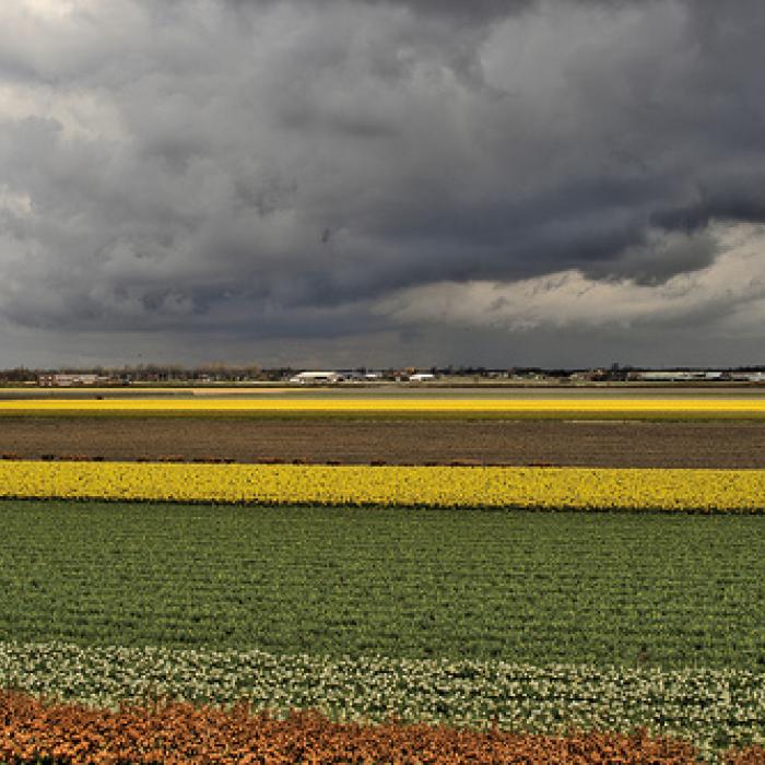 Threats and challenges for the Netherlands