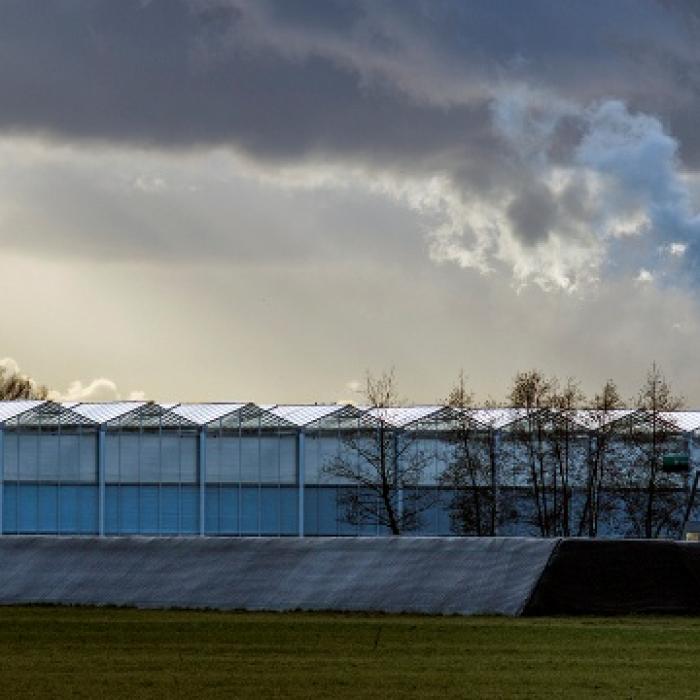 Nederlandse percepties van bedreigingen en uitdagingen
