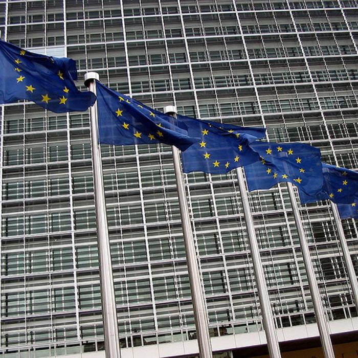 Erin of eruit?: het VK en de EU