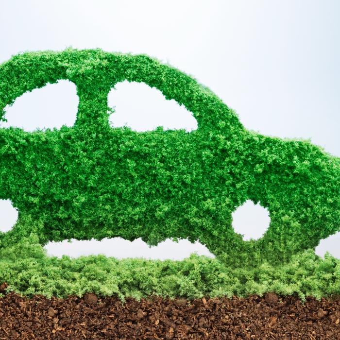 EU Transition towards green and smart mobility
