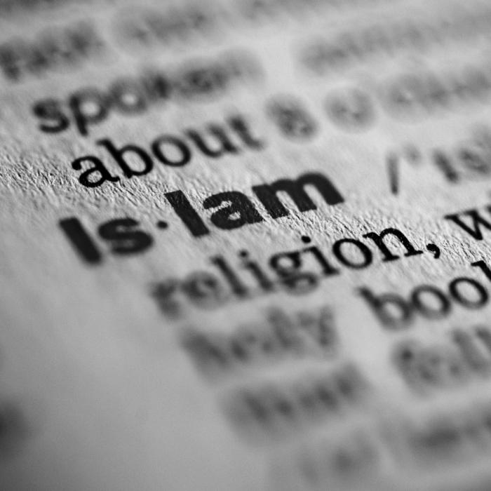 Do-it-yourself Islam? Views on the religious credibility of the IS