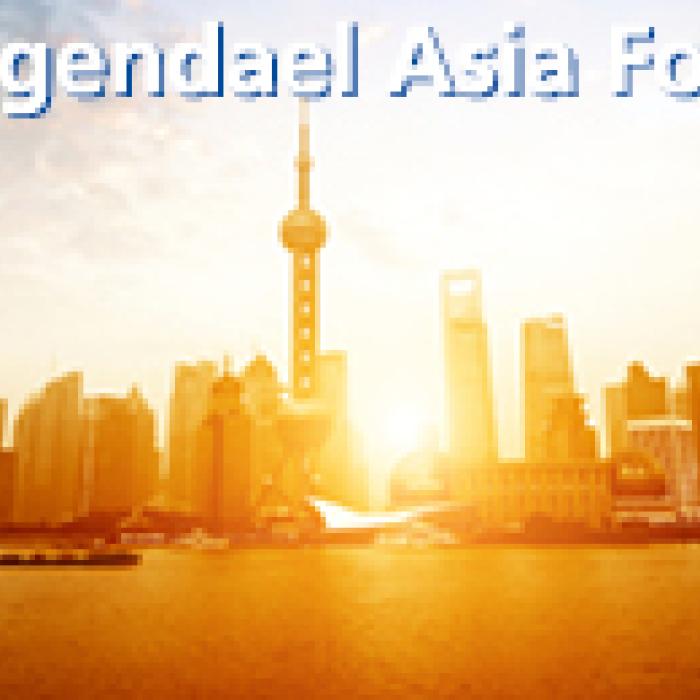 Ensuring that China Rises Peacefully 