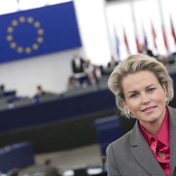 Schaf het Europees Parlement af en organiseer nationale referenda 