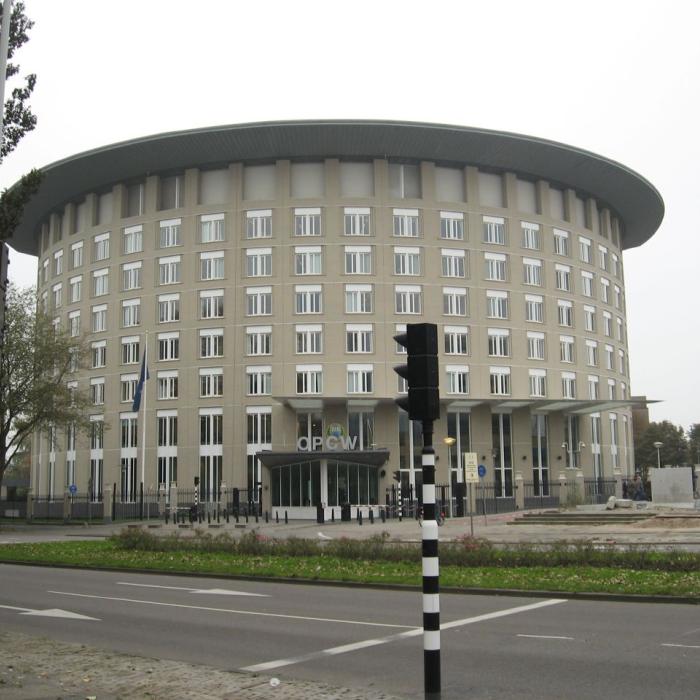 EU representation in the OPCW after Lisbon: still waiting for Brussels