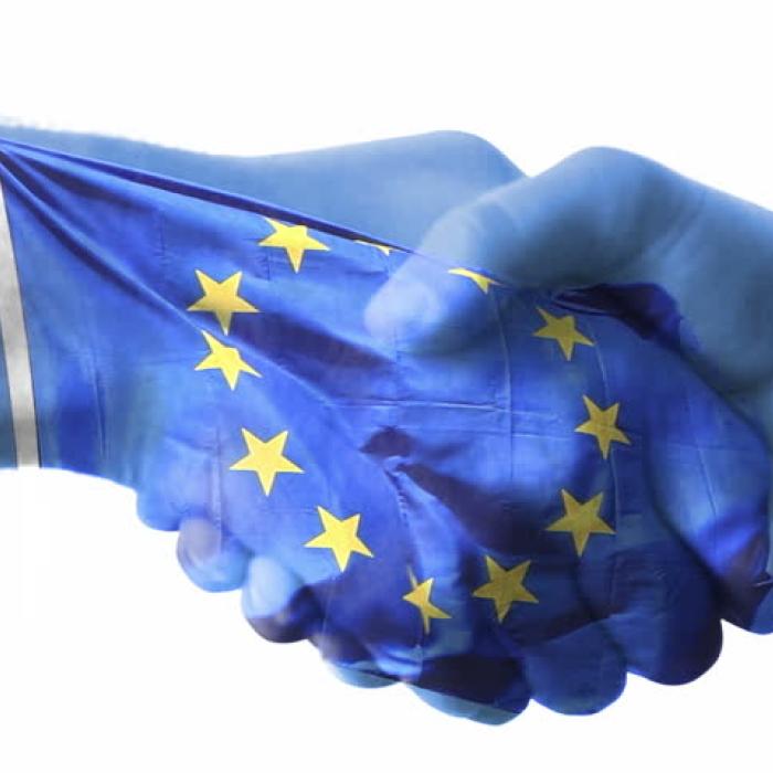 Myopic EU lacks flexibility to deal with rising powers