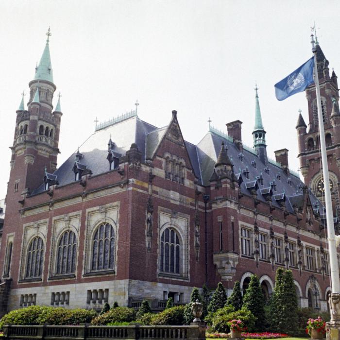 Vredespaleis nog steeds belangrijk instituut