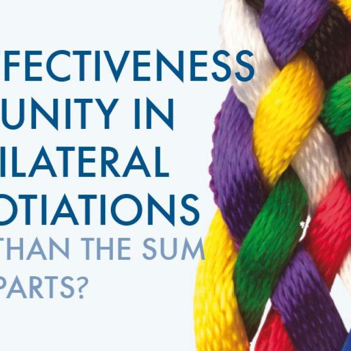 EU’s effectiveness in multilateral negotiations