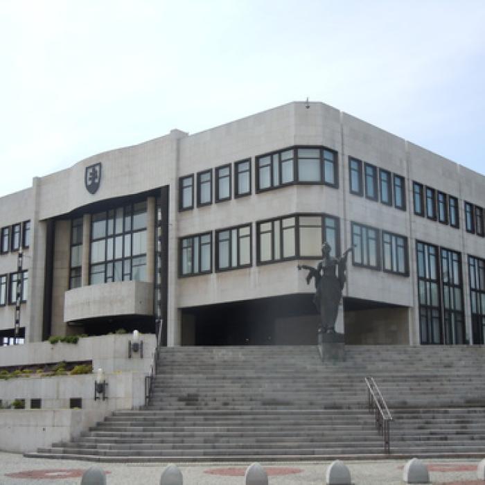 Slovakia, a small neighbour with big concern