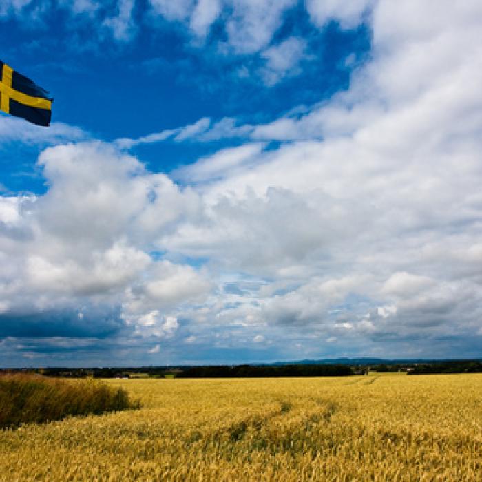 Support from Sweden