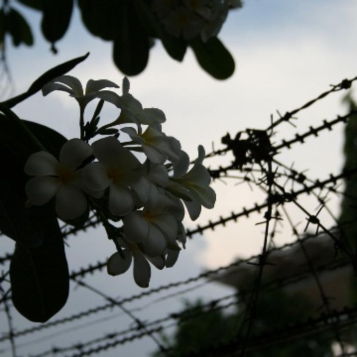 The slippery slope to genocide