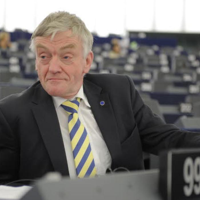 Het Europees Parlement is een zwak parlement
