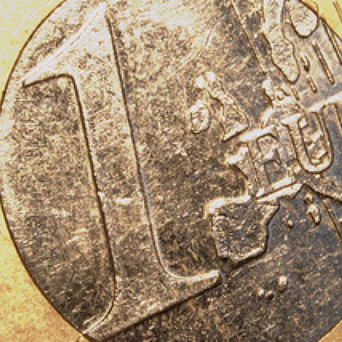 Overzicht: Waarheen met de euro?