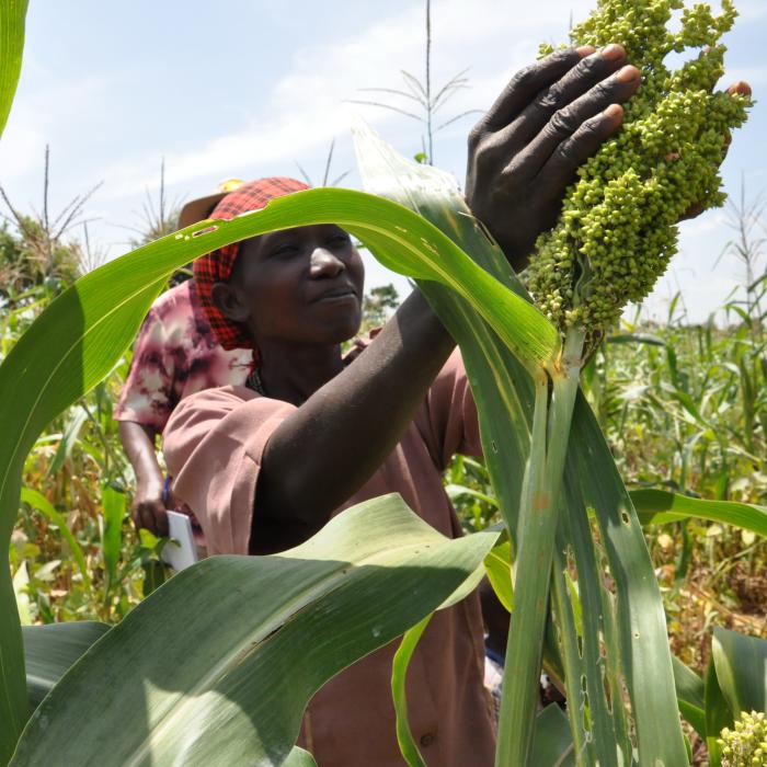 Cross-sector partnerships in fragile settings
