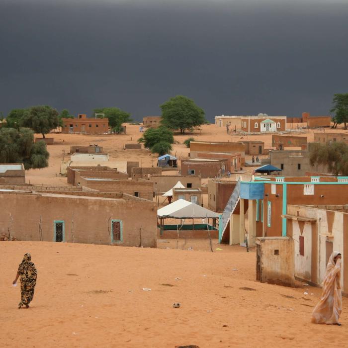 ECFR Paris Podcast: Regional stability in the Sahel