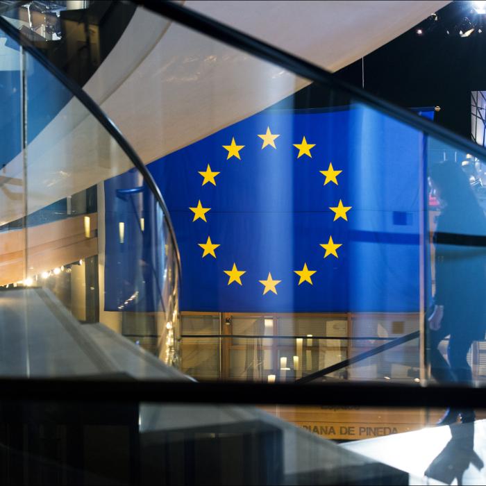 EEAS fails to impress the Dutch, but may bring added influence