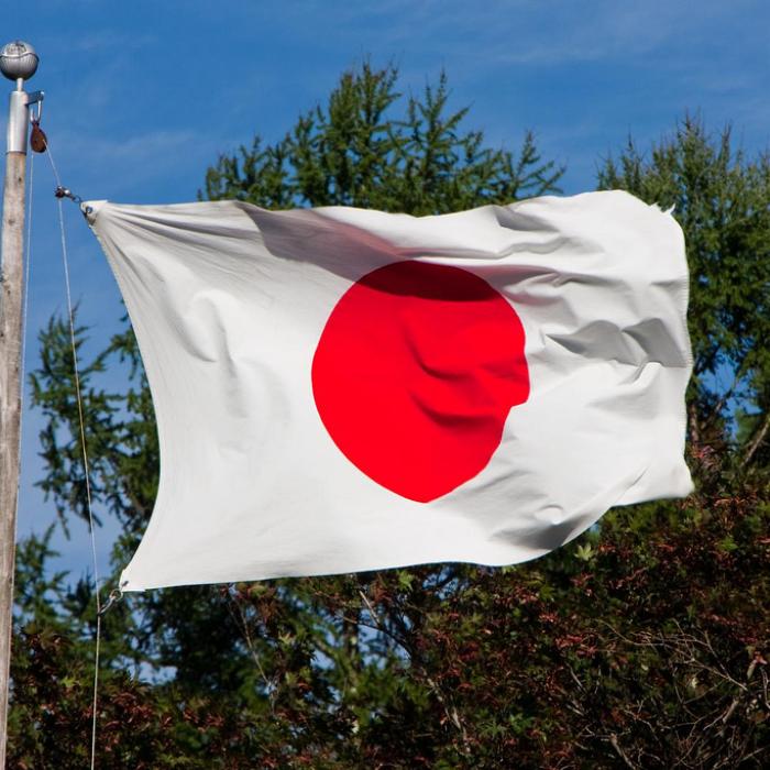 Japan's 'Green' Economic Diplomacy: Environmental and Energy Technology and Foreign Relations