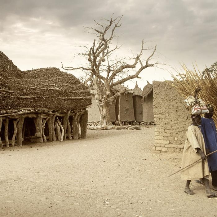 Under the microscope: Customary justice systems in northern Mali