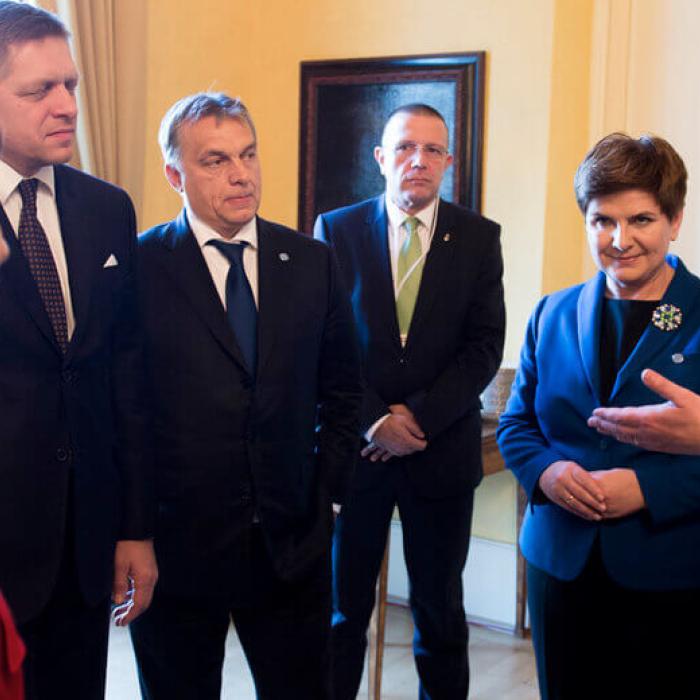 The Visegrad four: different perspective on Social Europe