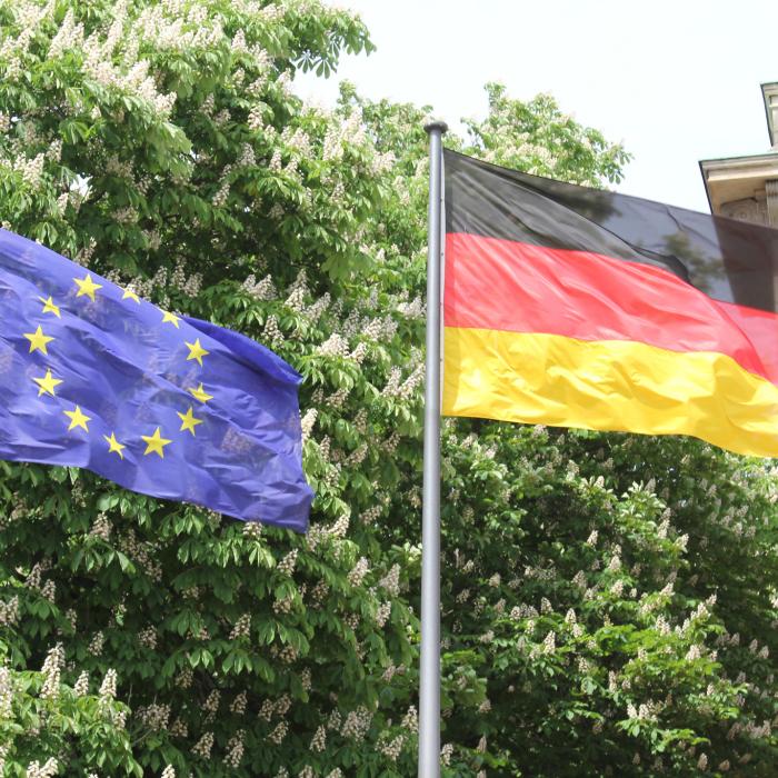 Posities van de Duitse politieke partijen op de EU