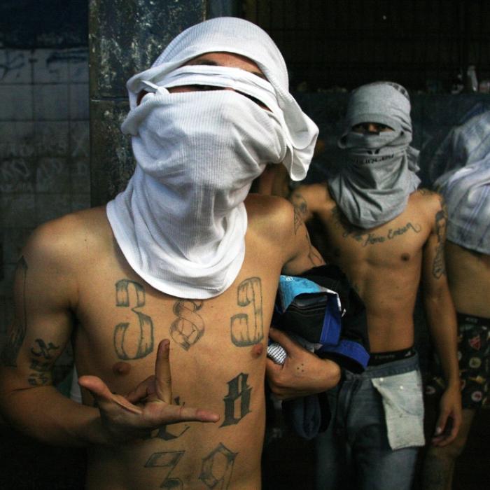 Social movement organization under cartel rule in rural Guatemala