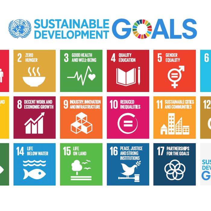 SDG Partnerships with the Private Sector