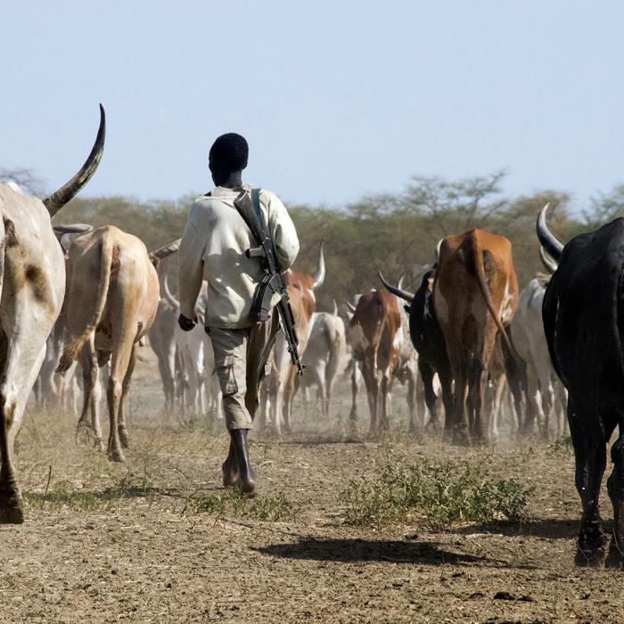 Action on Climate and Security Risks