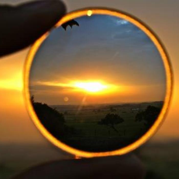 New dots on the security horizon