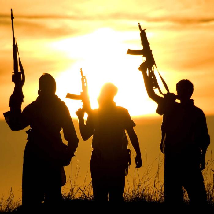 The foreign fighters phenomenon in the EU