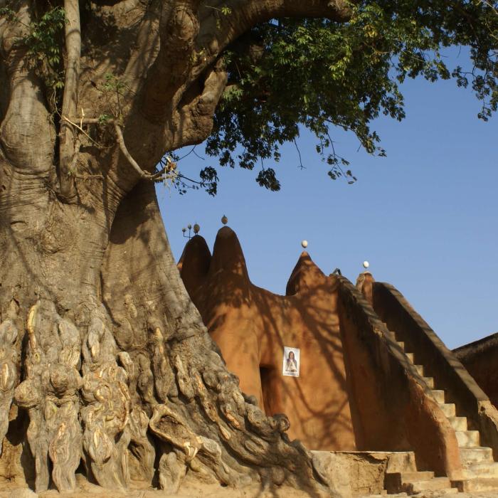 Policy initiatives to strengthen customary justice in Mali