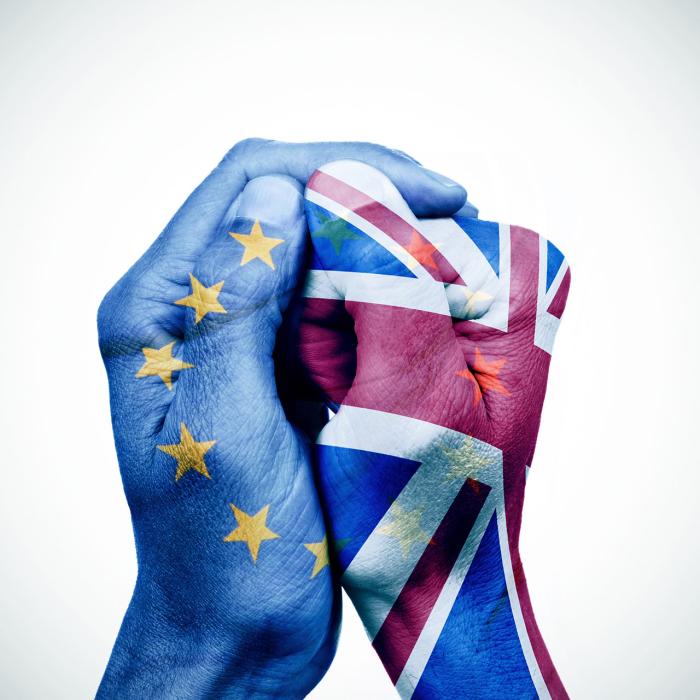 Strategic Monitor 2017 - Crisis of confidence in EU?