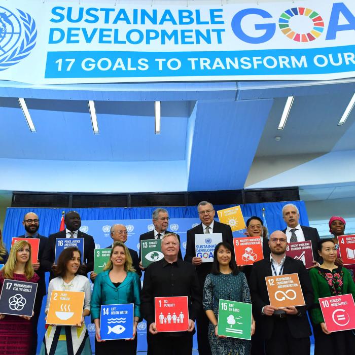 Foreign Ministries, SDG Diplomacy and the Private Sector