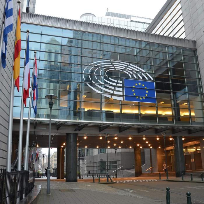 The European Parliament after the elections