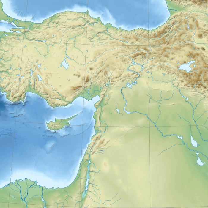 Political (dis)order and coercive organisations in the Levant
