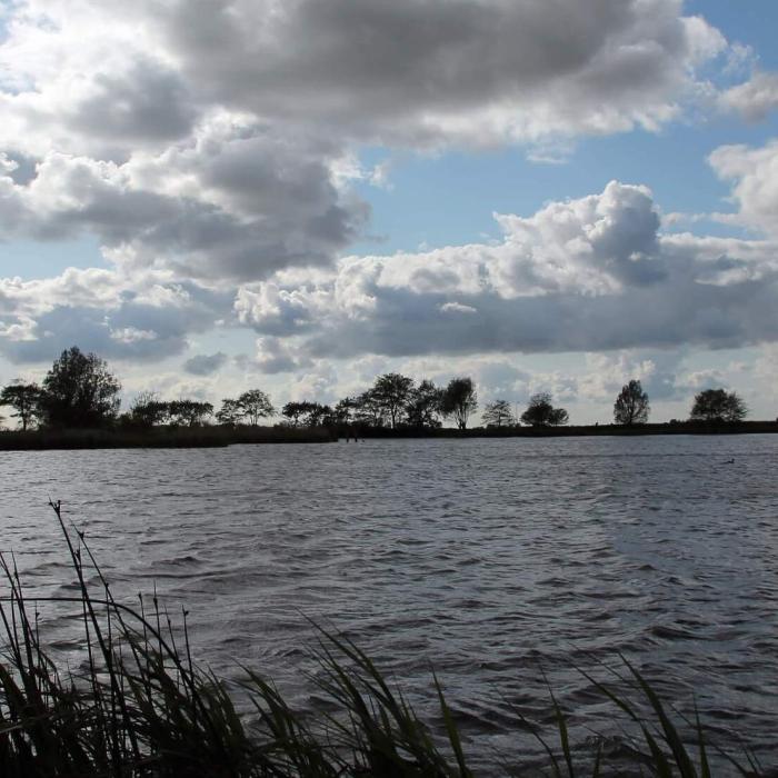 Are the Dutch going green?