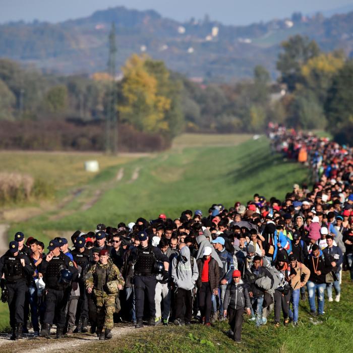 Migration: Returns at what cost