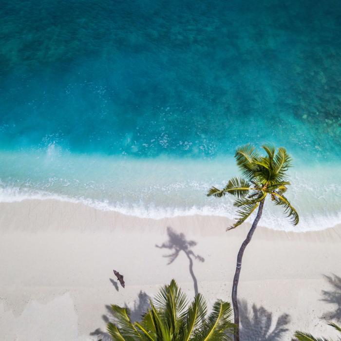 Top 5 summer reads 2019