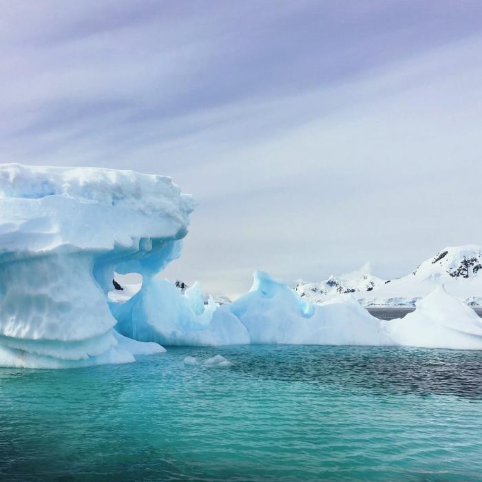 Conflict Prevention and Regional Cooperation in the Arctic