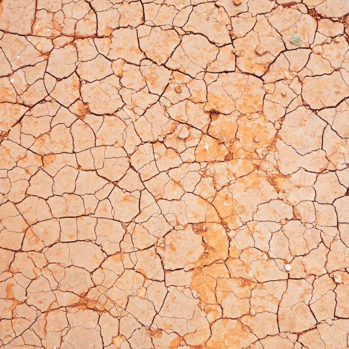 Nexus between climate & security; warning signs are flashing red